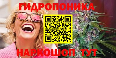 МДПВ Будённовск