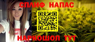МДПВ Будённовск